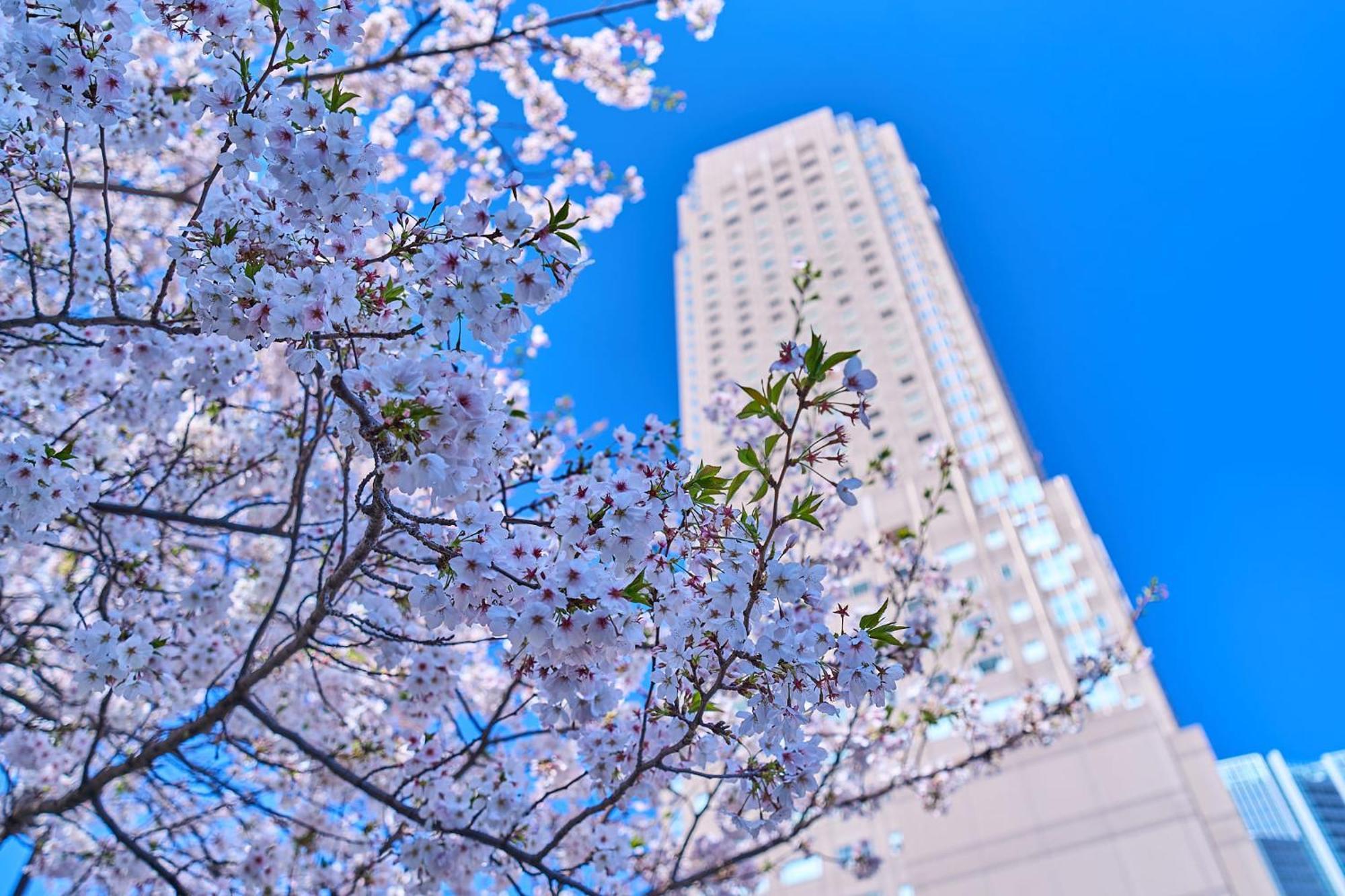 Cerulean Tower Tokyu Hotel, A Pan Pacific Partner Hotel Präfektur Tokio
